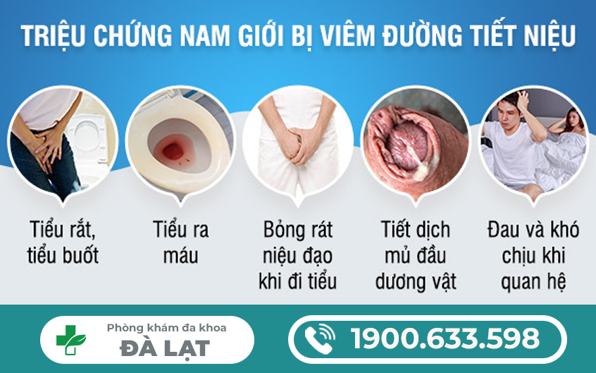 Hình ảnh minh họa